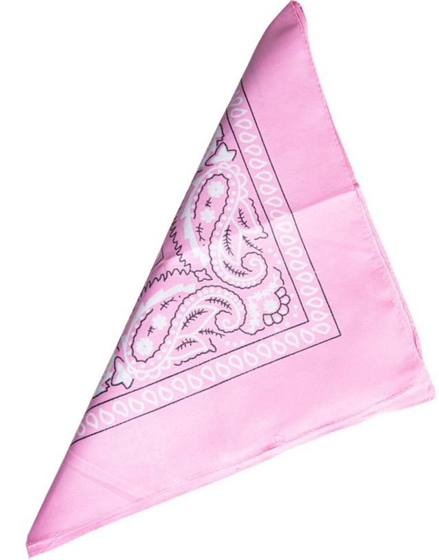 Paisley Bandana - Rosa