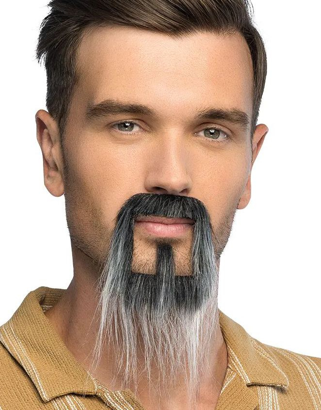 Kung Fu Master - Grå Bart & Skjegg