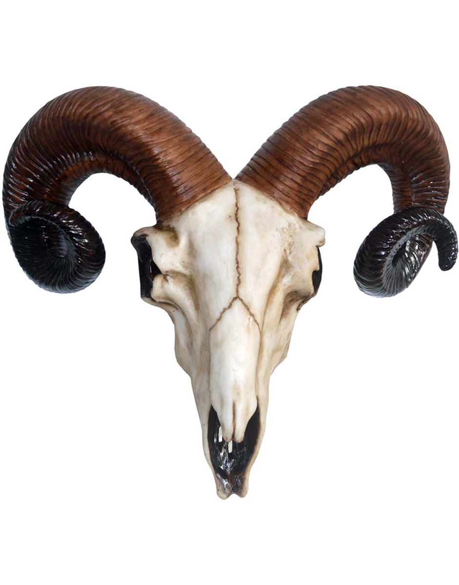 Rams Skull Figur med Veggfeste 33 cm