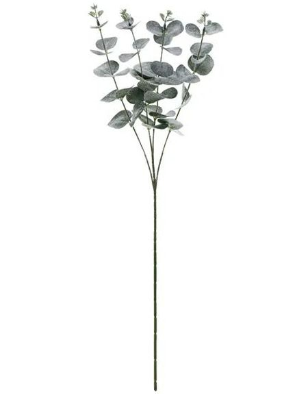 Eukalyptusgren 60 cm