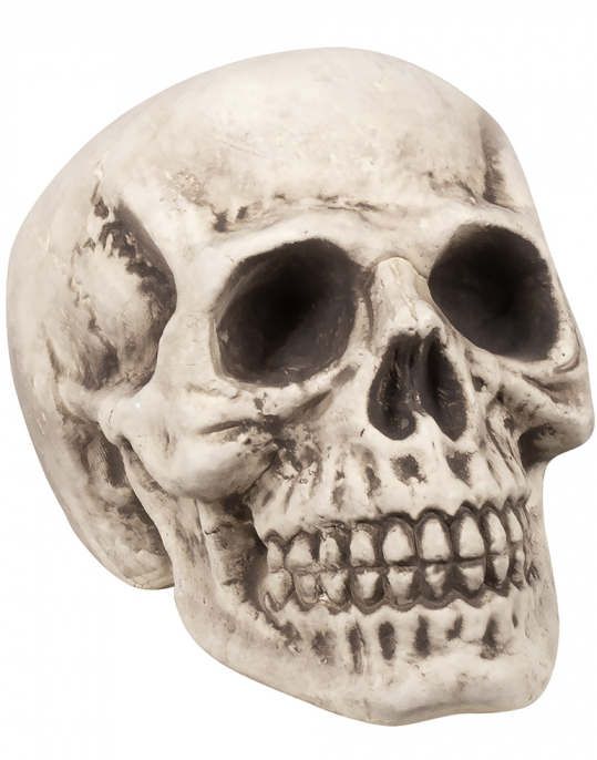 Stor Hodeskalle Dekorasjon 31x23 cm