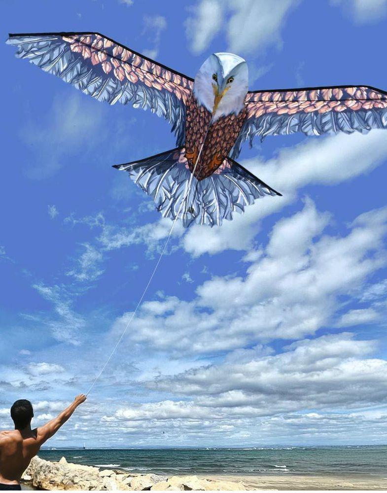 STOR 3D Ørn Drake/Kite