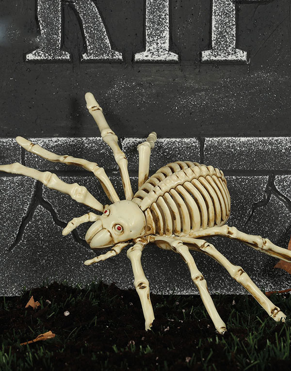 Skjelettedderkopp til Dekorasjon 24x16 cm
