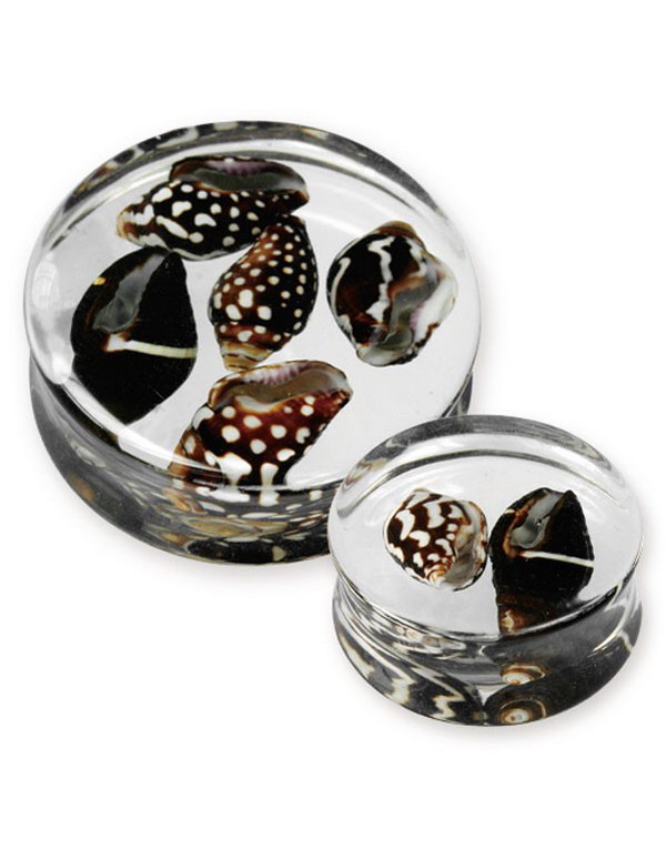 Sea Shells - Gjennomsiktig Piercing Plugg