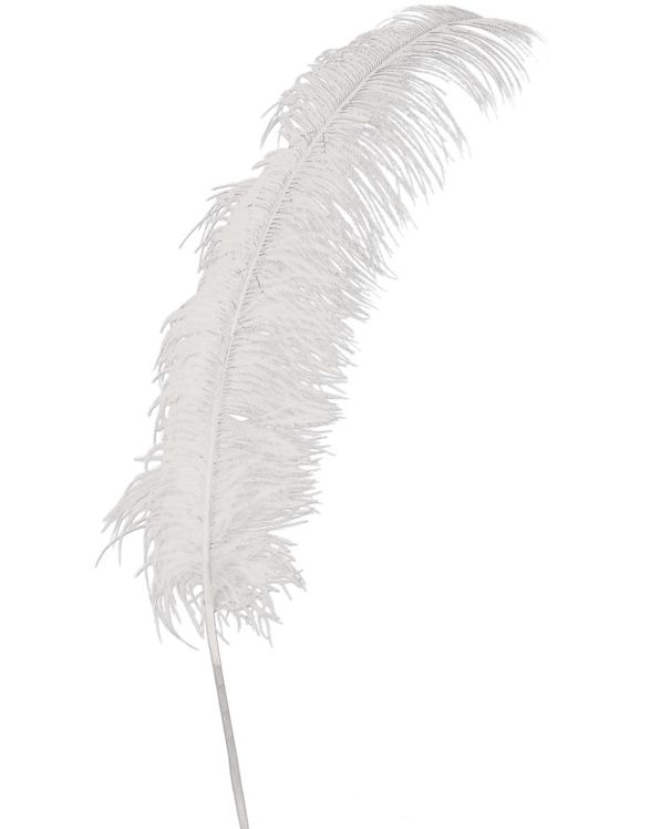 12 Stk. Gigantiske Hvite Strutsefjær - 50 cm