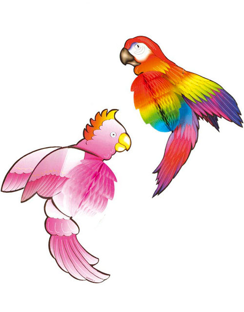 Papegøye - 2 Stk Honeycombs