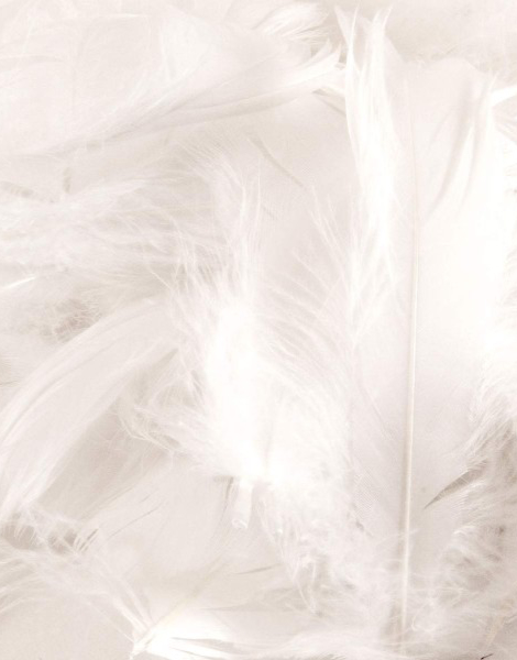 50 gram Hvite Dekorative Fjær 6-12 cm