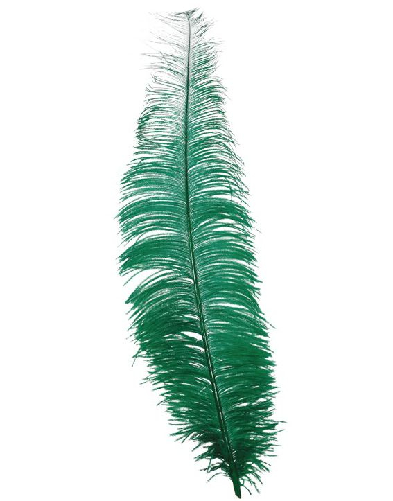 12 Stk. Store Grønne Strutsefjær - 40 cm