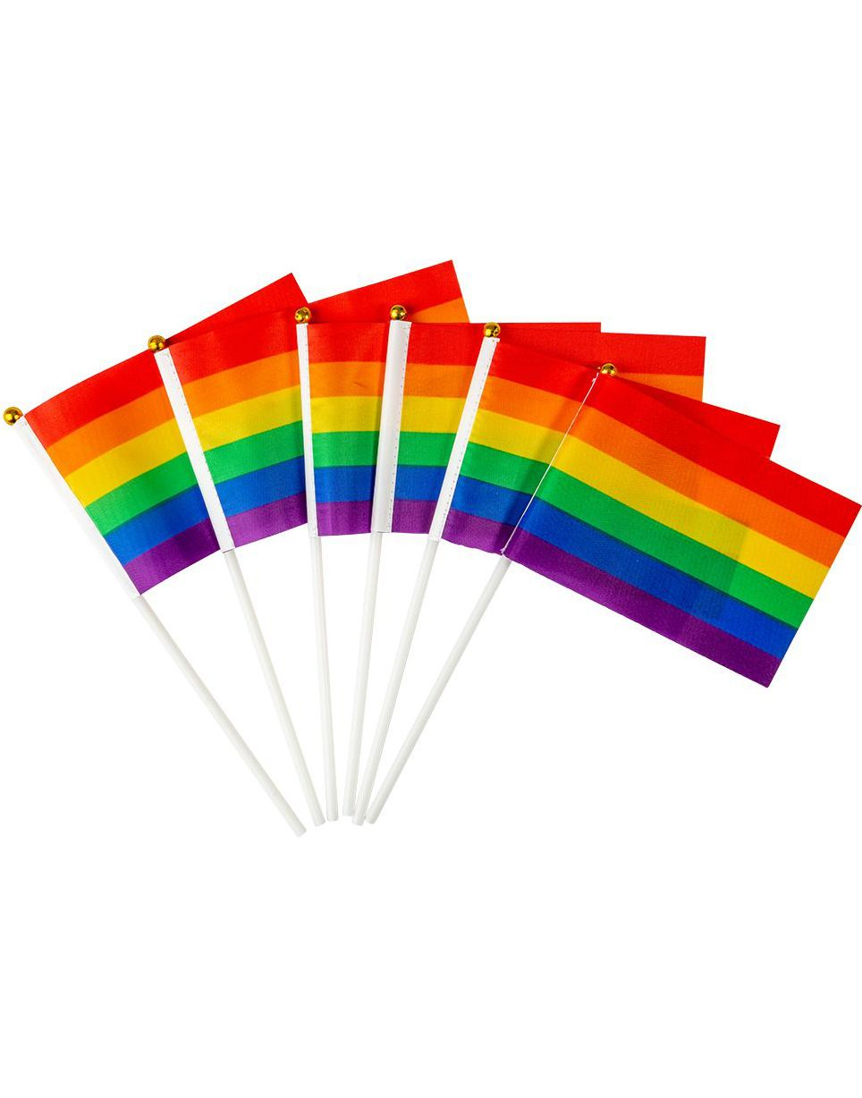 6 Pack med Små Regnbuefargede Håndflagg 10x15 cm