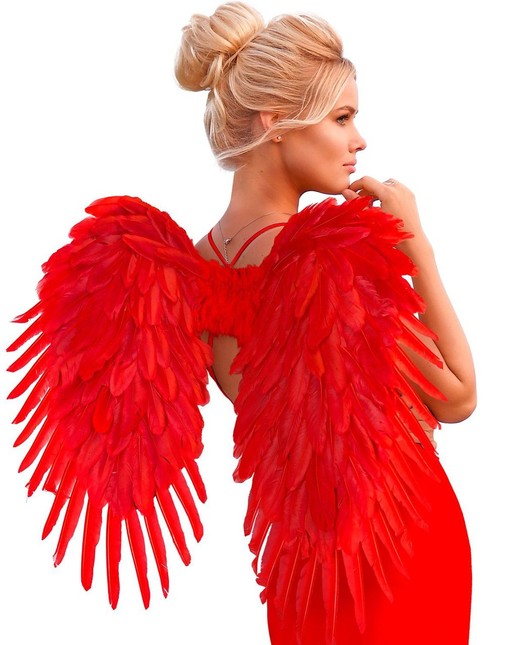 Røde Fjærvinger 80x60 cm