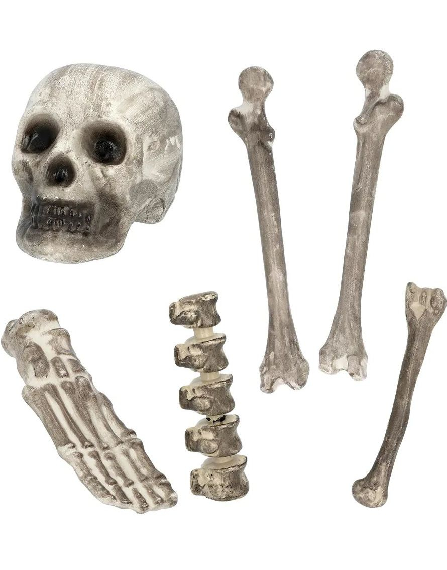 Dekorasjonssett med Beinrester 6 deler