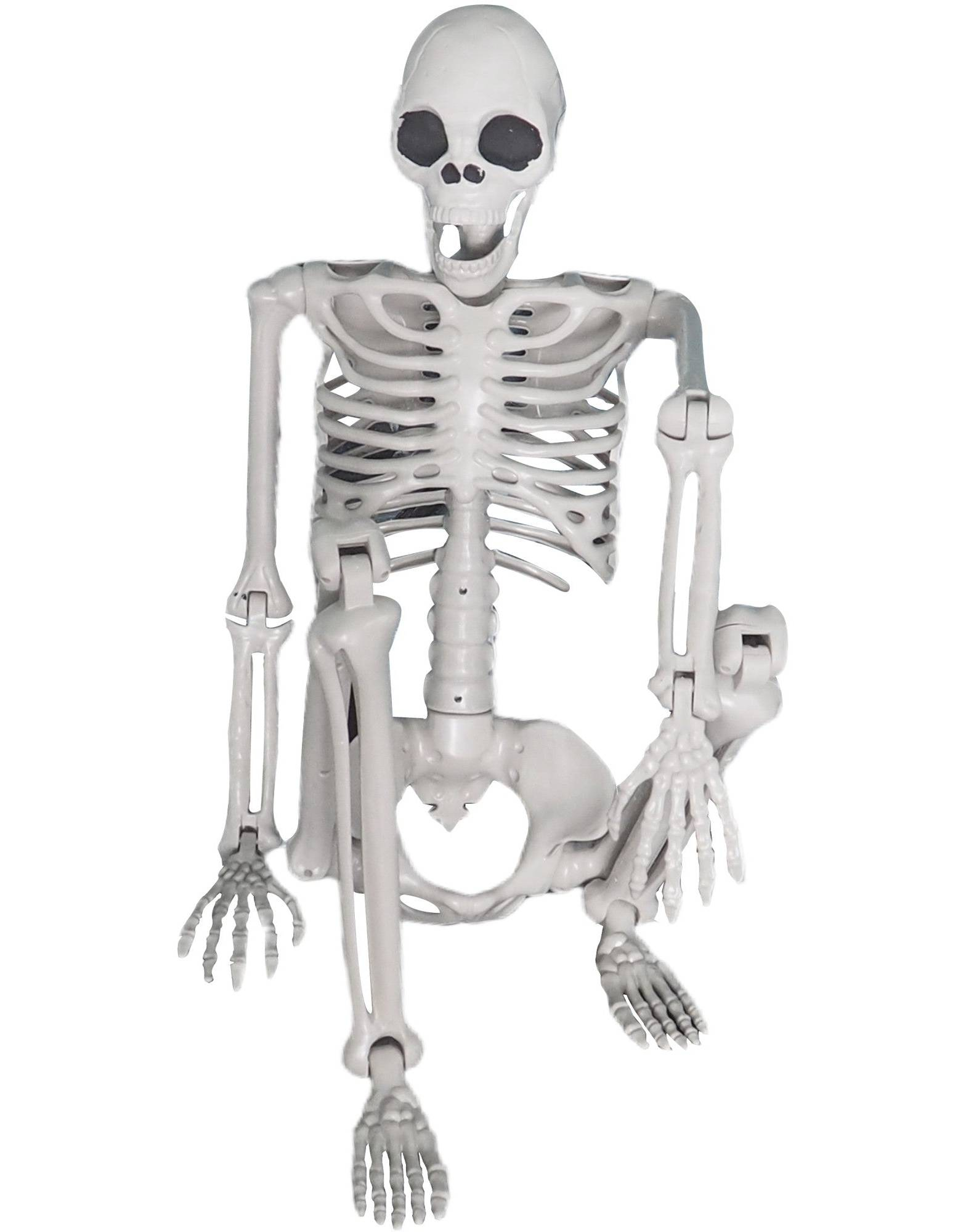Skjelett i Realistisk Størrelse med Poserbare Ledd 150 cm